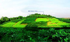 Năm 2015, Đền Hùng sẽ có diện mạo mới